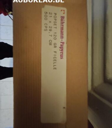 Buhrmann-Papyrus--Feuille