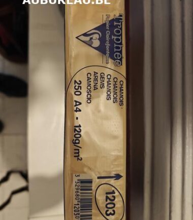 Rames de 250 feuilles 120gr A4 coloris chamois