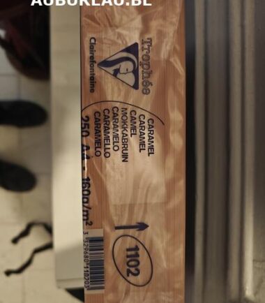 Rames de 250 feuilles 160gr A4 coloris caramel