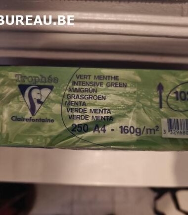 Rames de 250 feuilles 160gr A4 coloris vert menthe