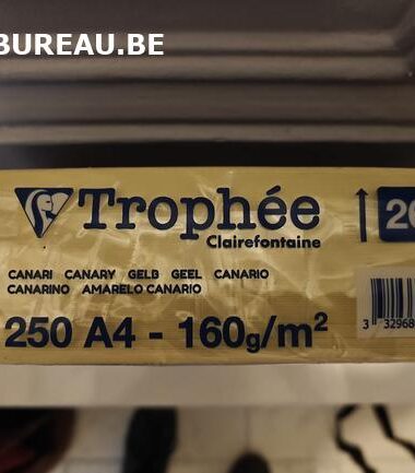 Rames de 250 feuilles 160gr A4 coloris jaune canari