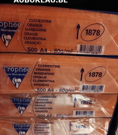 Rames de 500 feuilles 80gr A4 coloris clémentine