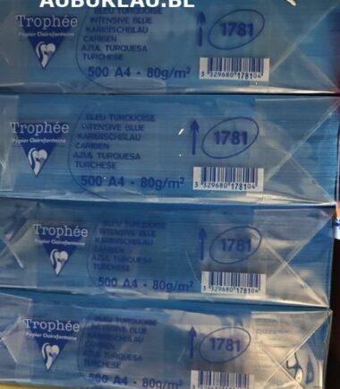 Rames de 500 feuilles 80gr A4 coloris bleu turquoise