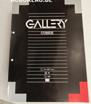 Bloc de cours A4 - 100 feuilles - 2 trous