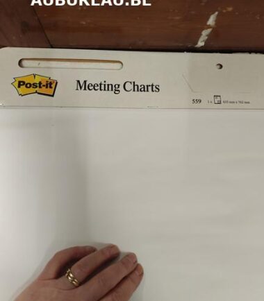 Meeting Charte Post-it réf 559