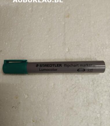 Feutres pour flipchart coloris vert Staedtler